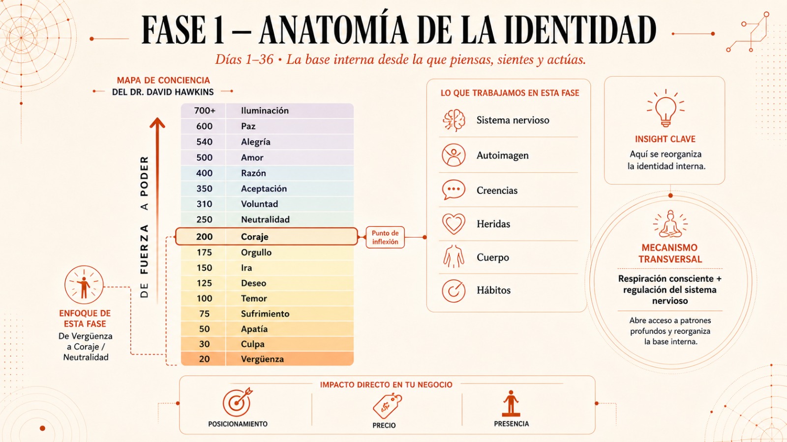 Anatomía de la Identidad